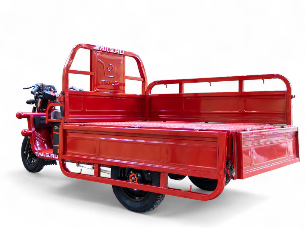 Электротрицикл TaiLG TL1000