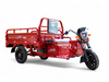 Электротрицикл TaiLG TL1000