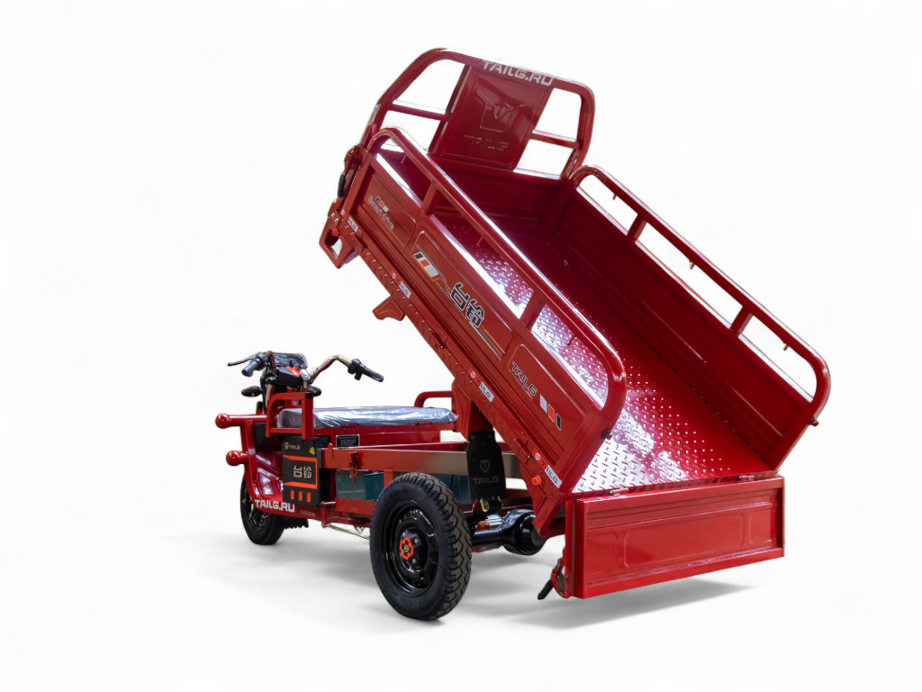 Электротрицикл TaiLG TL1000