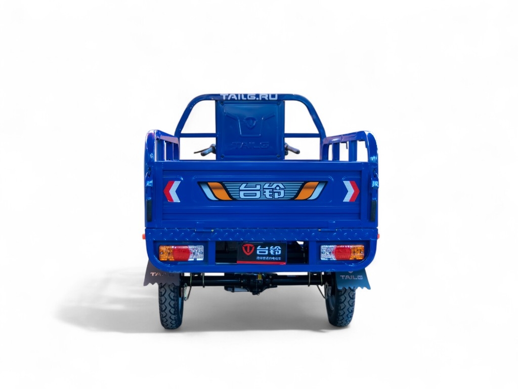 Электротрицикл TaiLG TL800