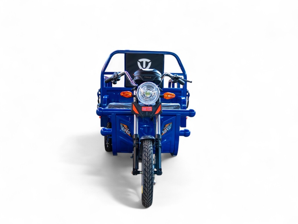 Электротрицикл TaiLG TL800