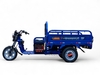 Электротрицикл TaiLG TL800