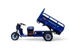 Электротрицикл TaiLG TL800